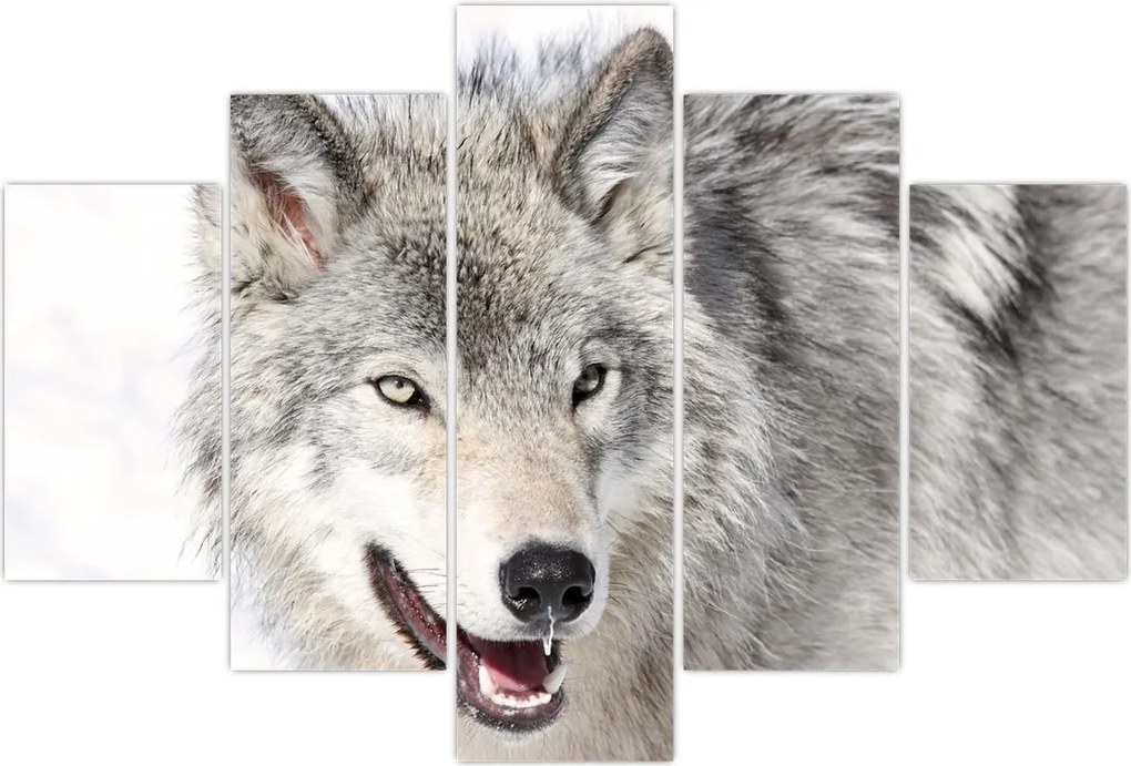 Tablou - Lupul în natură (150x105 cm)