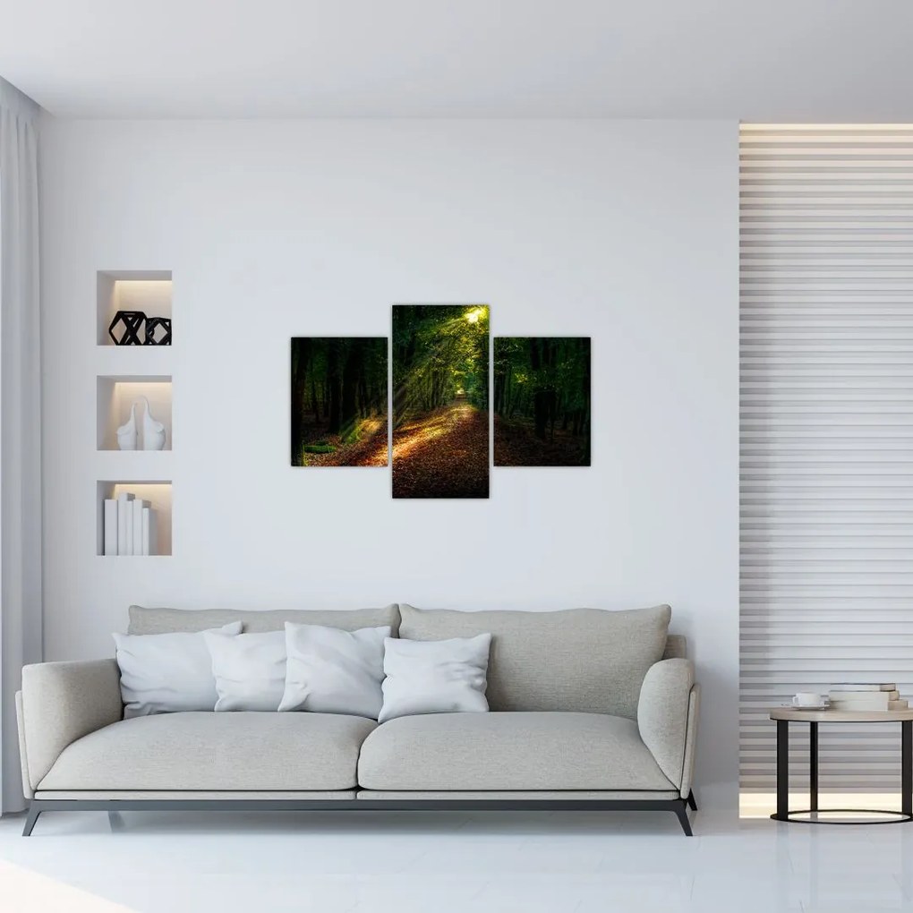 Tablou cu poteca prin pădure (90x60 cm)