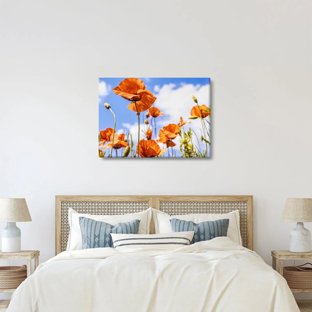 Tablou cu macii (70x50 cm)