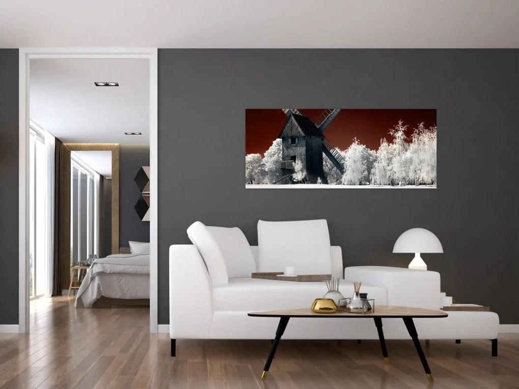 Tablou cu moară (120x50 cm)