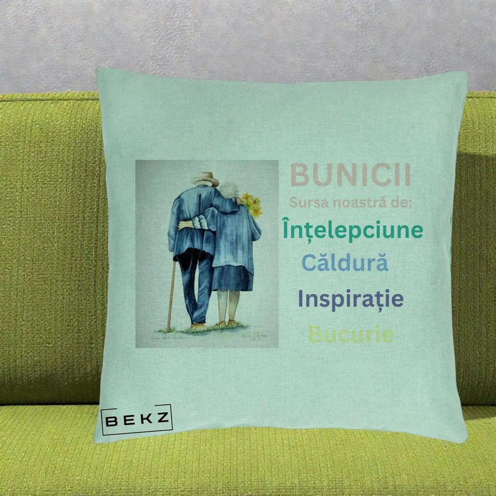 Cadou pentru Bunici - Perna Personalizata Bunicii Sursa Intelepciune Caldura Acuarela, 40x40 cm, Verde Menta, Husa Detasabila, Perna Inclusa, BEKZ®