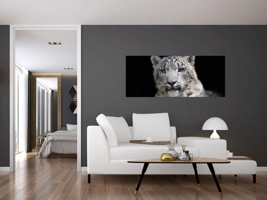 Tablou - Snow Leopard (120x50 cm)