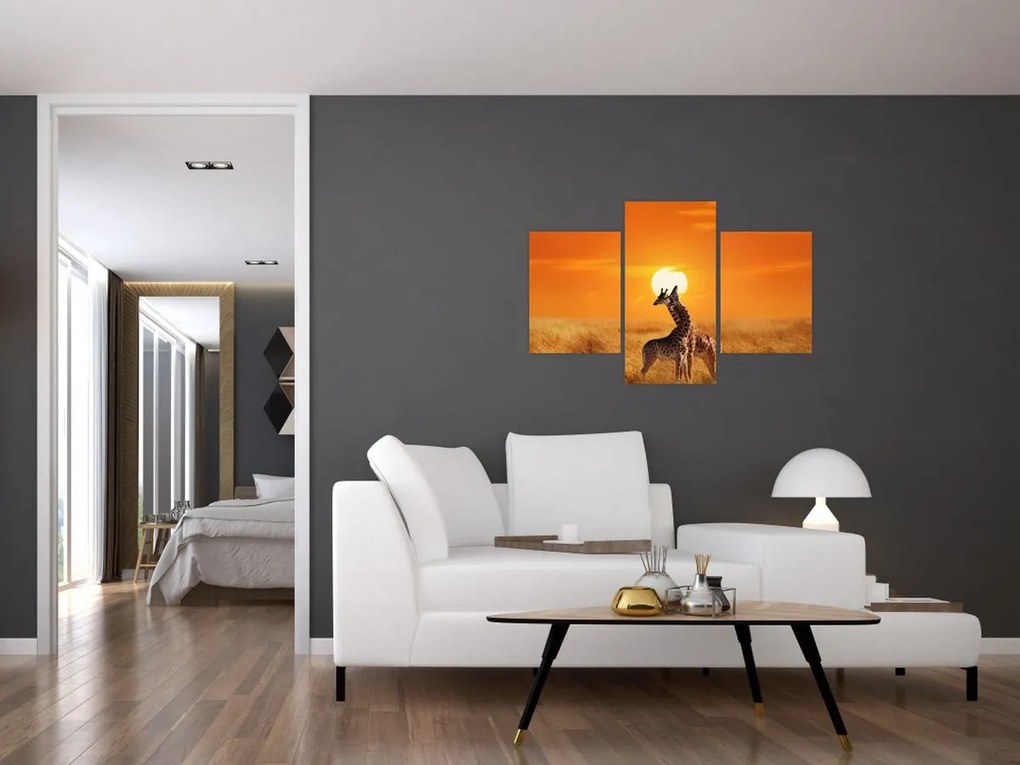 Tablou - Girafe în Parcul Național Serengeti (90x60 cm)
