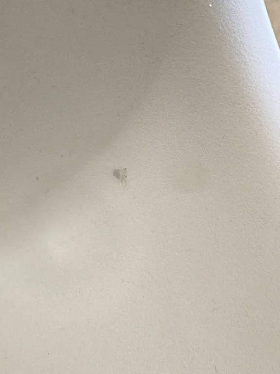 OFERTA Scaun de masa OSAKA din plastic, gri-maro clasa II