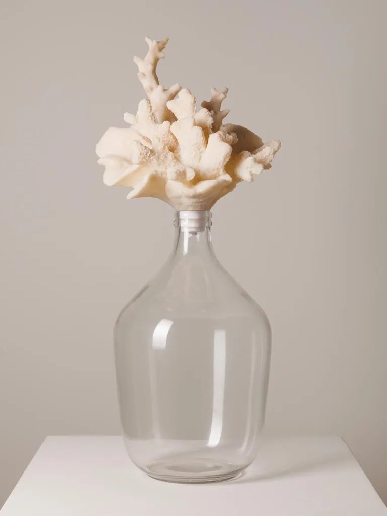 Sticla cu capac in forma de coral White