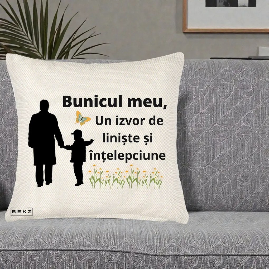 Cadou pentru Bunic - Perna Personalizata Bunicul Meu Izvor de Liniste cu Fluture si Baietel, 40x40 cm, Crem Reliefat, Husa Detasabila, Perna Inclusa, BEKZ®