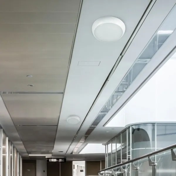 Plafonieră LED de exterior cu senzor LED/20W/230V IP65 3000/4000/6500K