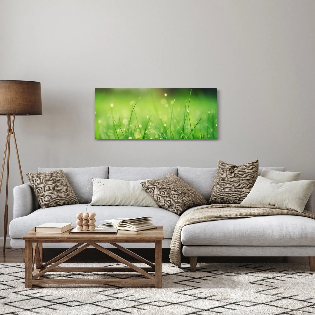 Tablou - roua pe iarbă (120x50 cm)