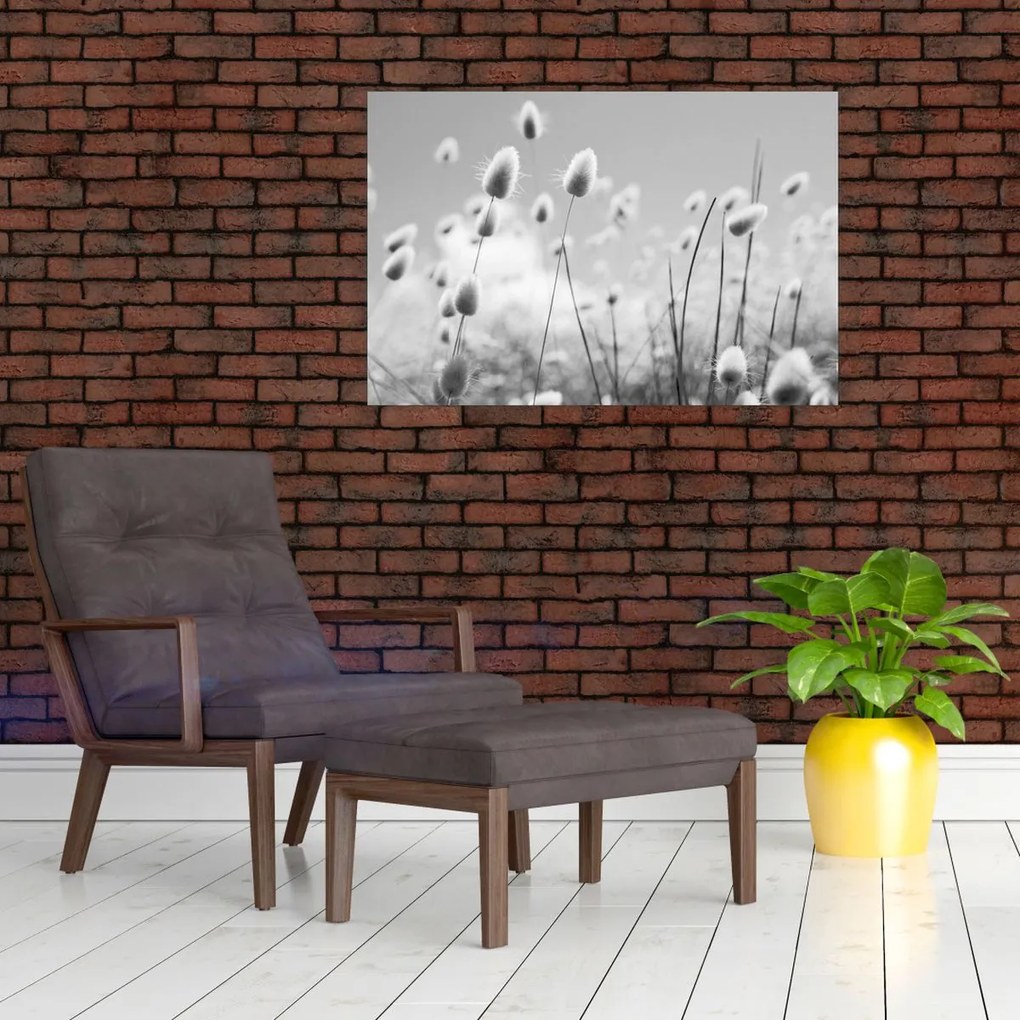 Tablou - Boho iepuraș coadă de iarbă (90x60 cm)