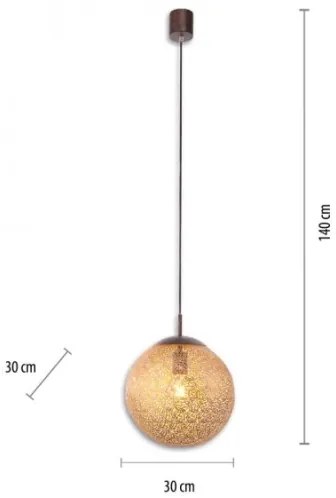 Paul Neuhaus 2420-48 - Lustră pe cablu GRETA 1xE27/60W/230V