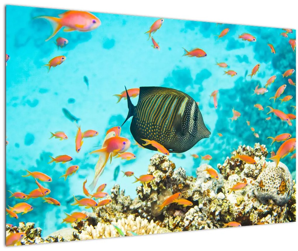 Tablou lumii submarine (90x60 cm)