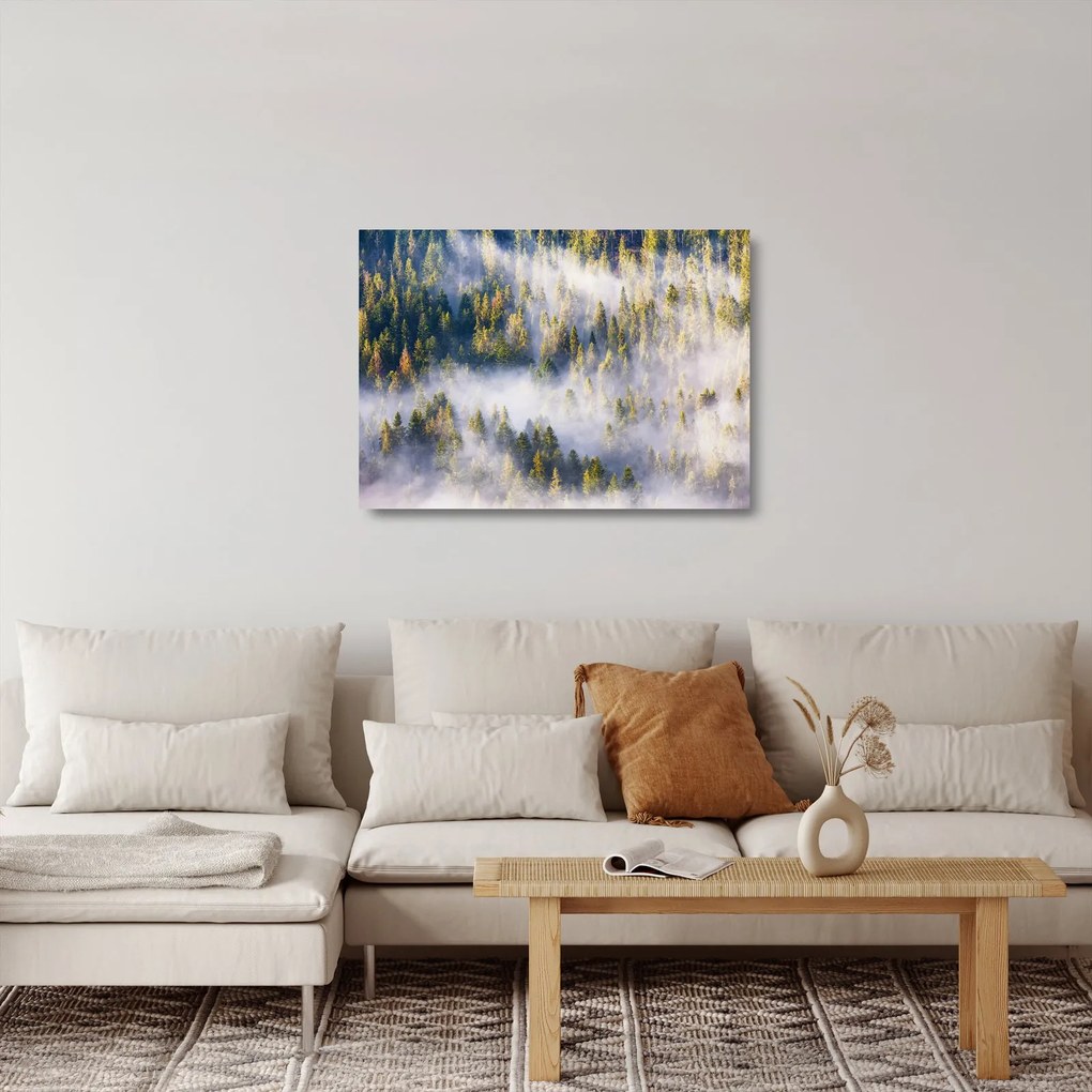 Tablou pe sticlă - Copac în ceață (70x50 cm)
