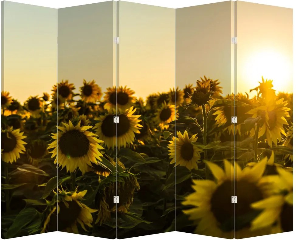 Paravan - Lan de floarea soarelui (210x170 cm)