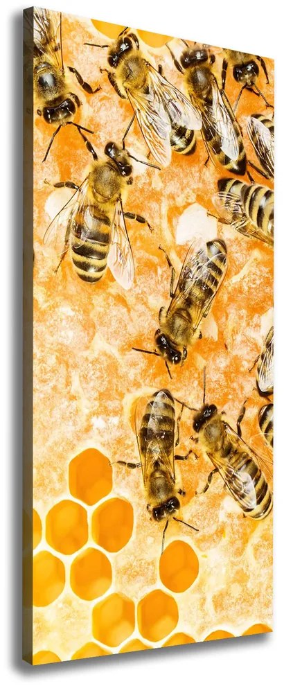 Print pe canvas Albinele lucrătoare