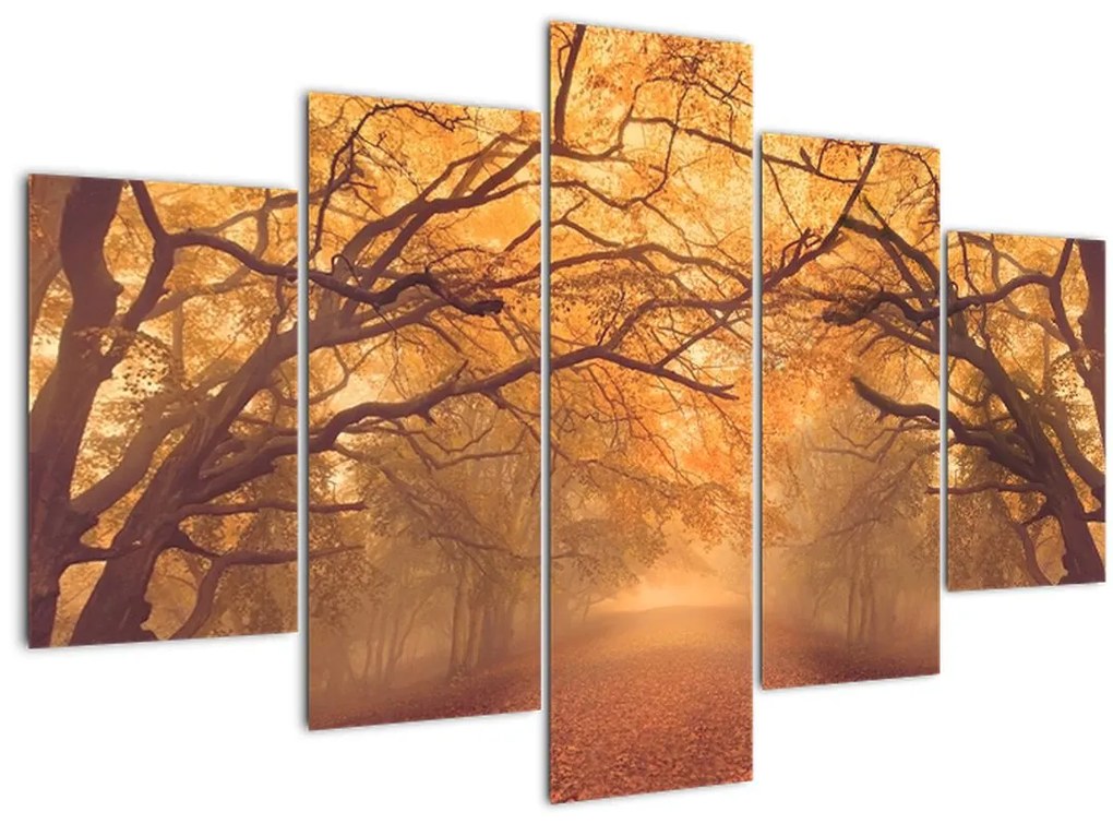 Tablou - Peisaj de toamnă cu drum (150x105 cm)