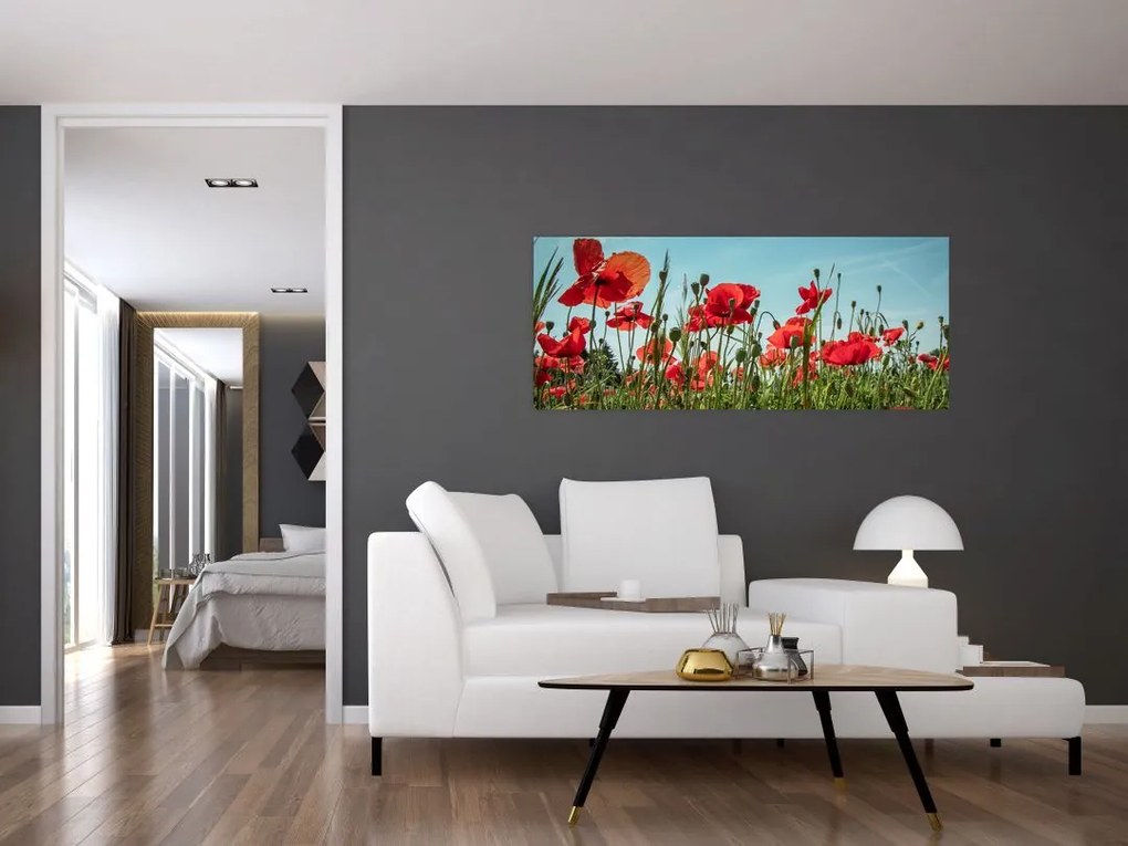 Tablou - Pe câmpul cu maci (120x50 cm)