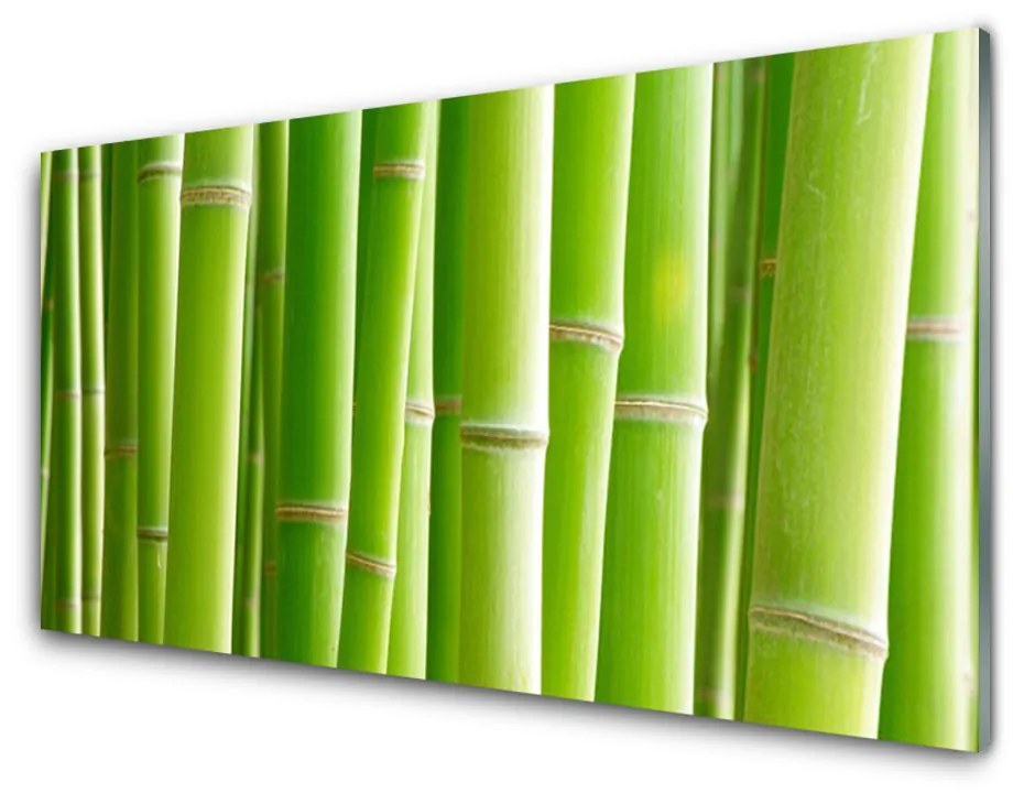 Tablouri acrilice Bamboo Tulpini Floral Verde