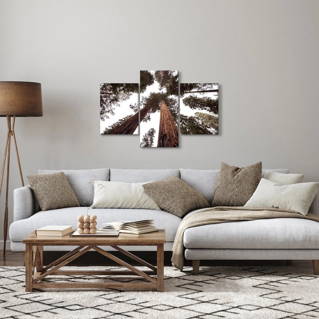Tablou - Privire prin vârfurile copacilor (90x60 cm)