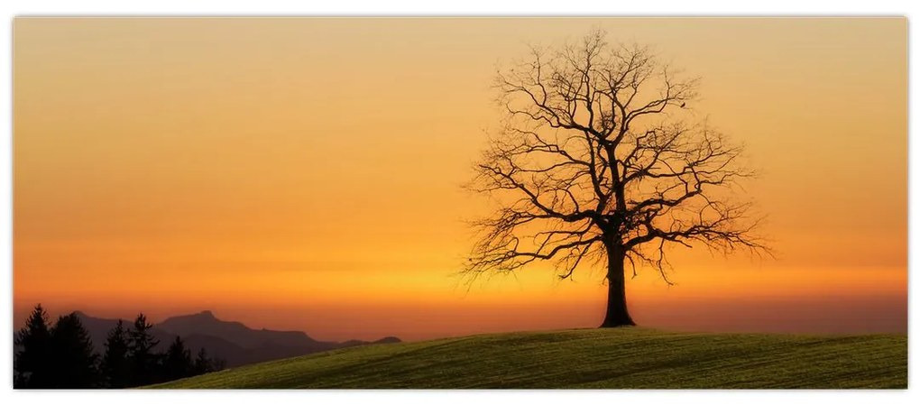 Tablou cu apus de soare pe o luncă (120x50 cm)