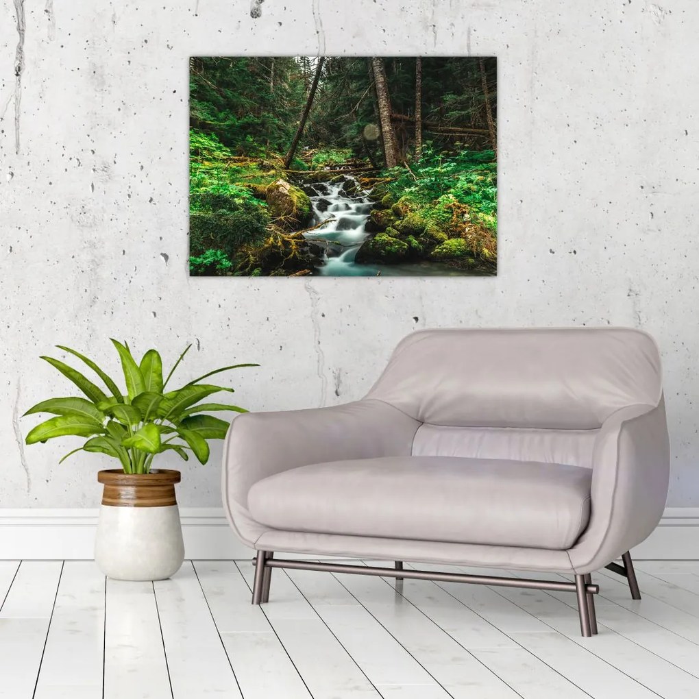 Tablou cu pârău în pădure (70x50 cm)