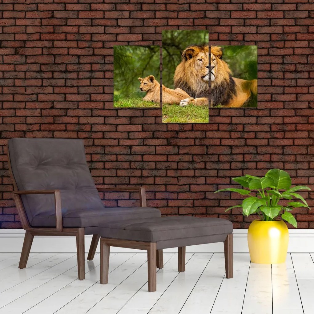 Tablou cu lei (90x60 cm)