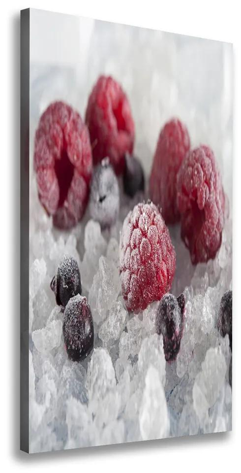 Pictură pe pânză Fructe congelate