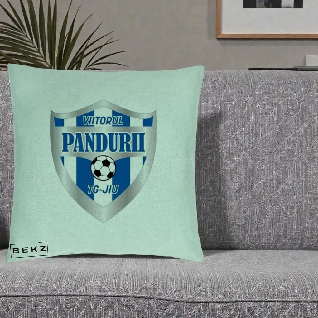 Perna Personalizata Pandurii Targu Jiu Fotbal, 40x40 cm, Verde Menta, Husa Detasabila, Perna Inclusa, BEKZ®