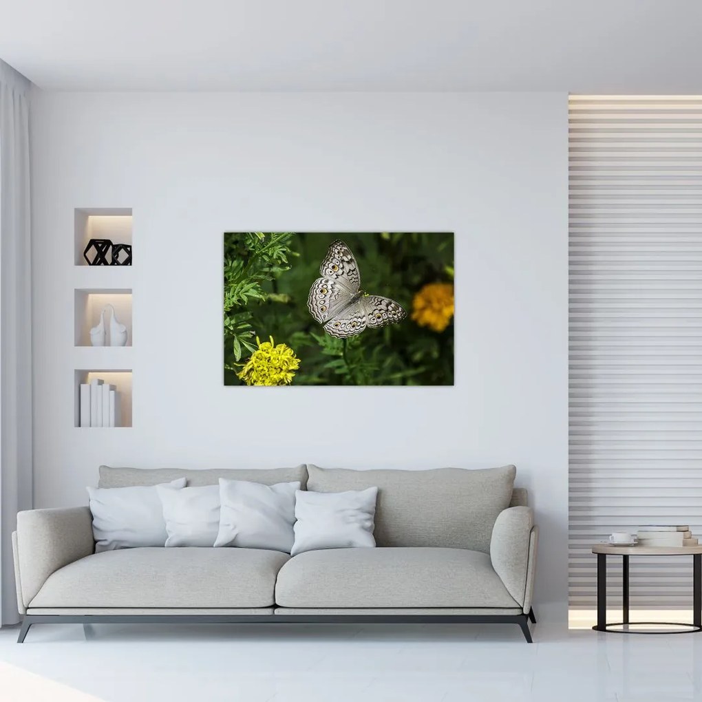 Tablou - fluture alb (90x60 cm)