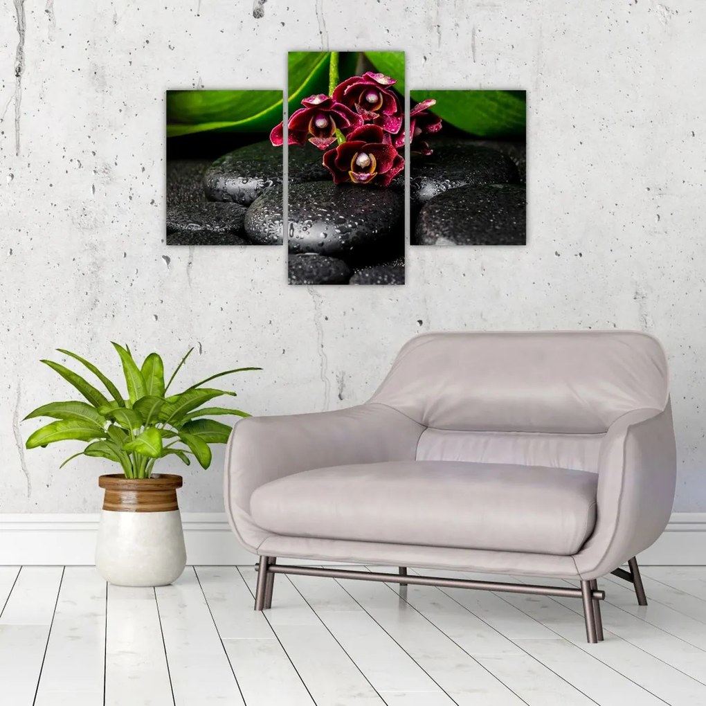 Tablou - Pietre de lavă (90x60 cm)