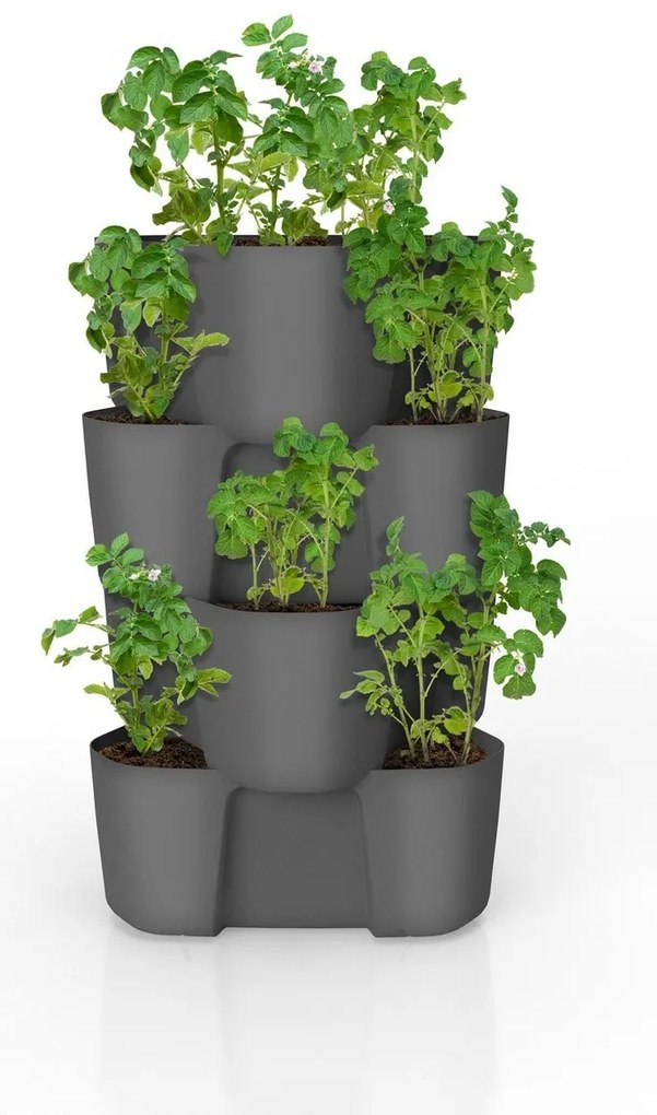 Container pentru cultivare cartofi Gardenico antracit