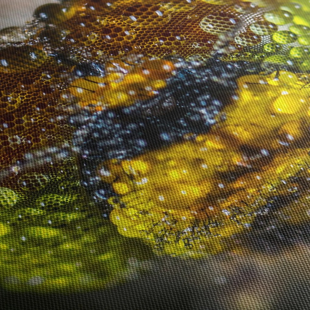 Tablou detailat cu ochii de omidă (cu ceas) (90x30 cm)