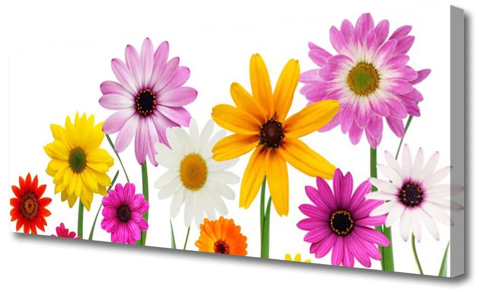 Tablou pe panza canvas Flori Floral Multi