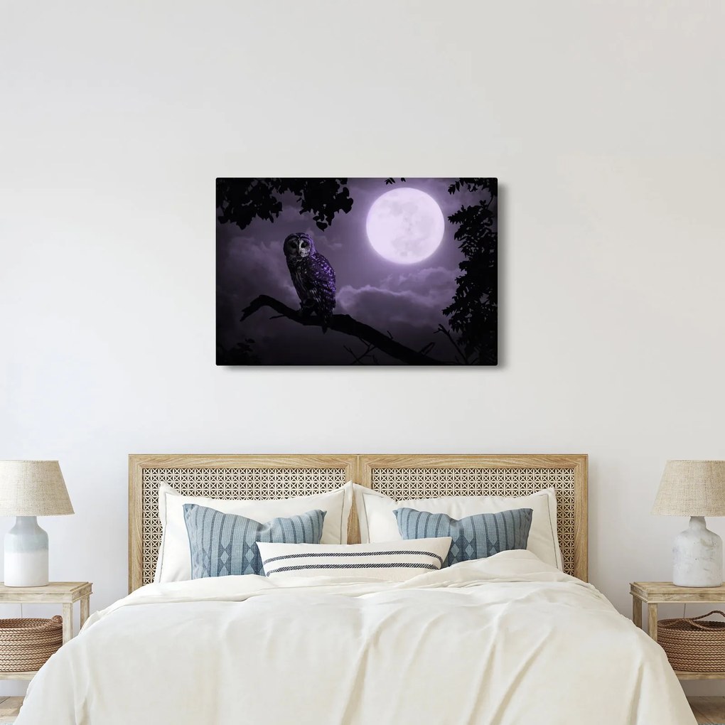 Tablou - Bufniță de noapte, violet (90x60 cm)