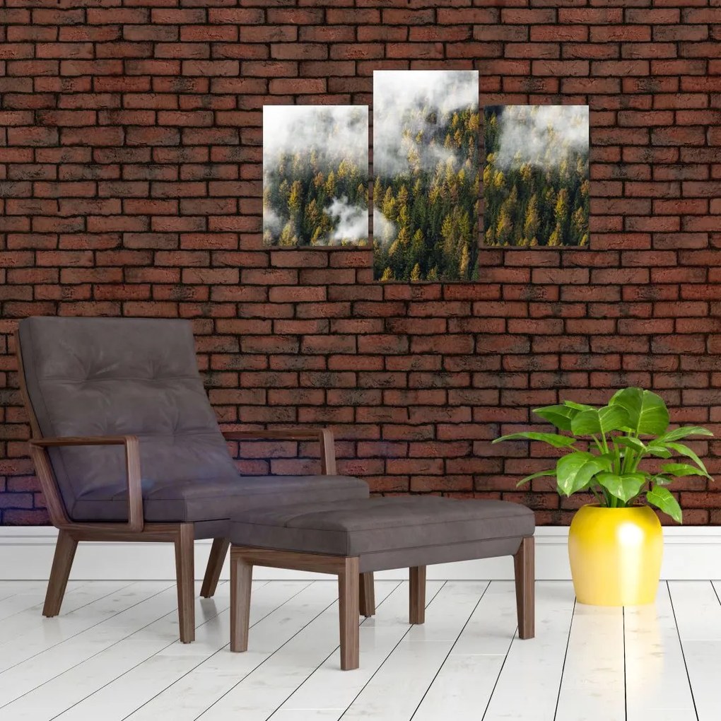 Tablou - Pădure în nori (90x60 cm)