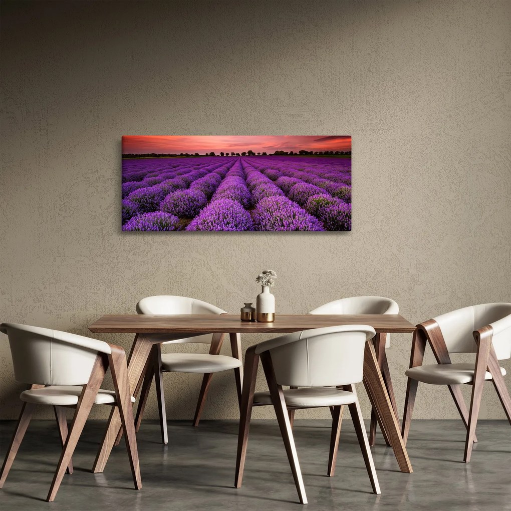 Tablou - Câmp de lavandă (120x50 cm)