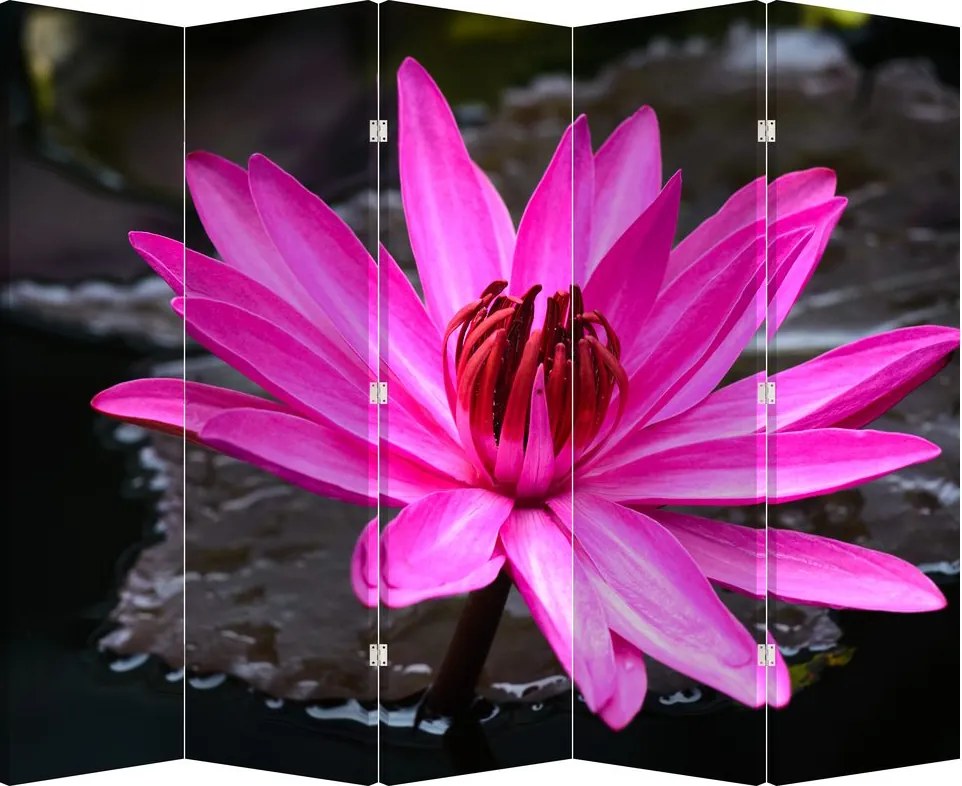 Paravan - Floarea roz (210x170 cm)