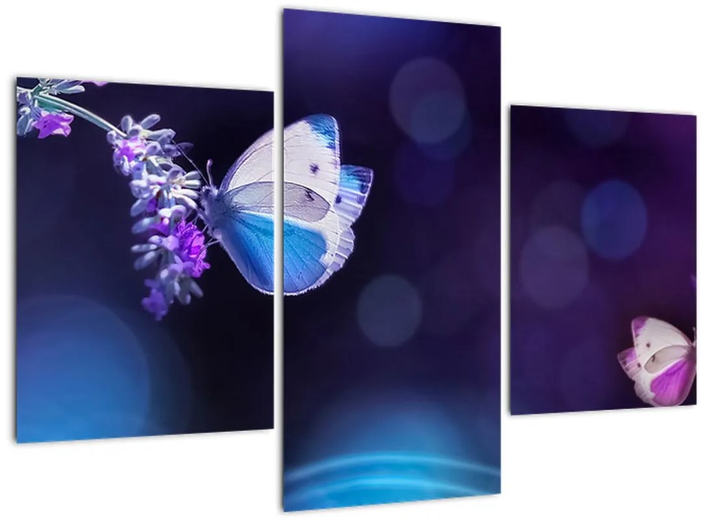 Tablou - Flutute în lavandă (90x60 cm)