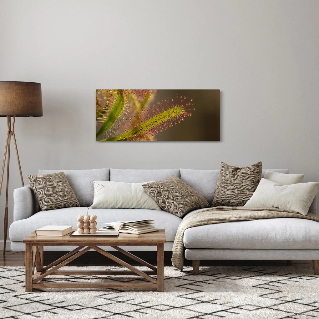 Tablou cu plantă (120x50 cm)