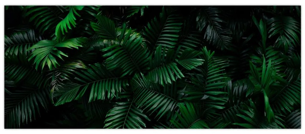 Tablou - Păpădii tropicale (120x50 cm)