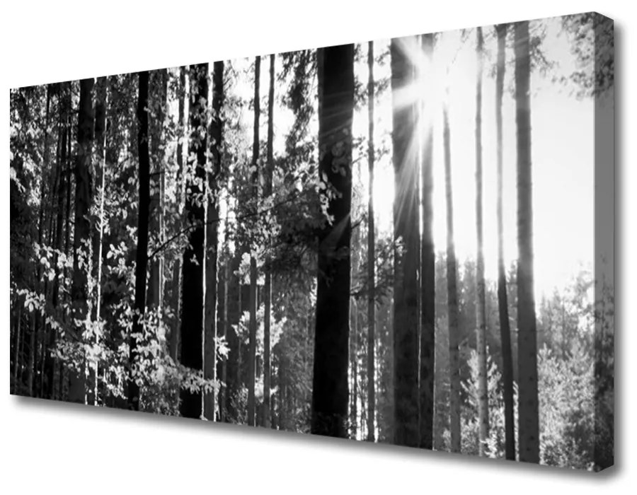 Tablou pe panza canvas Forest Nature Gray