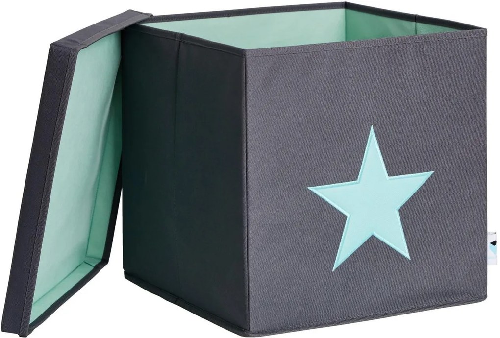 Cutie cu capac pentru depozitare  - Green Star 33x33x33 cm