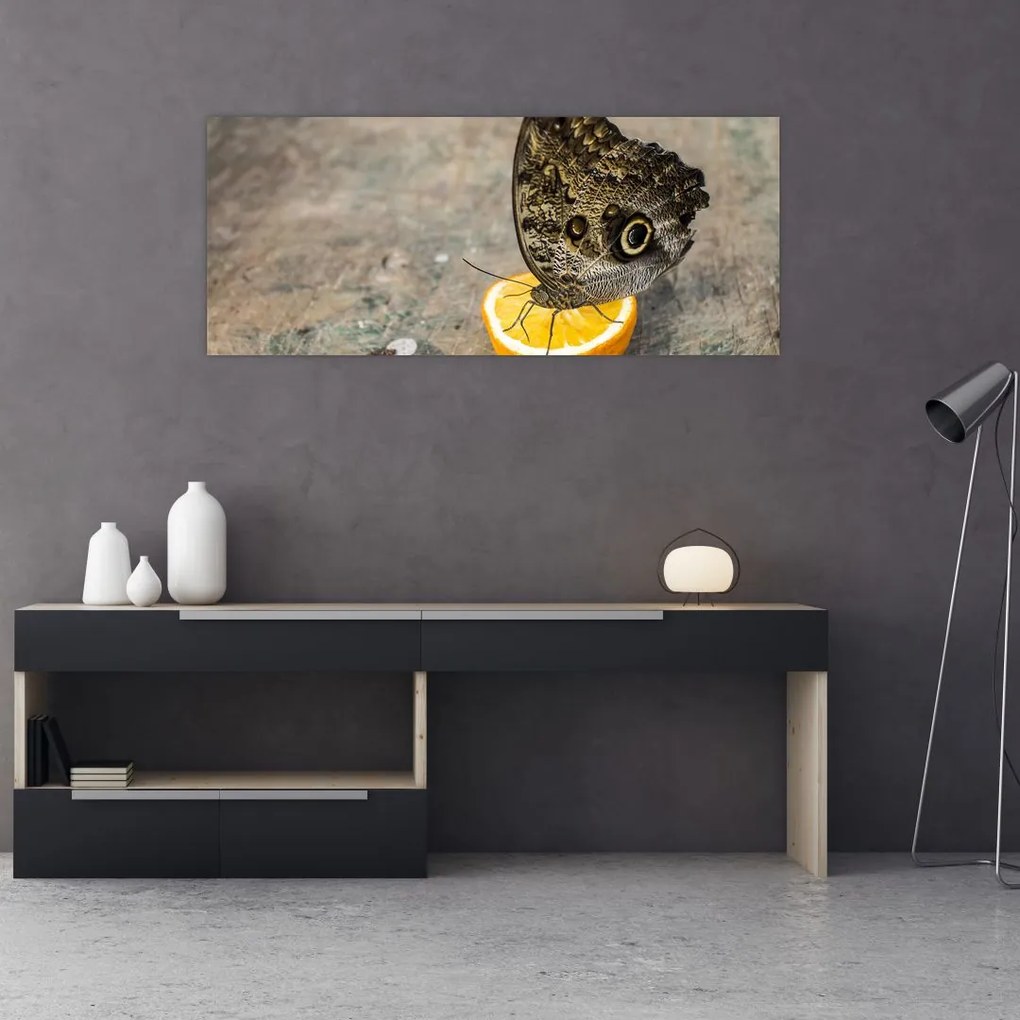 Tablou cu fluturi (120x50 cm)