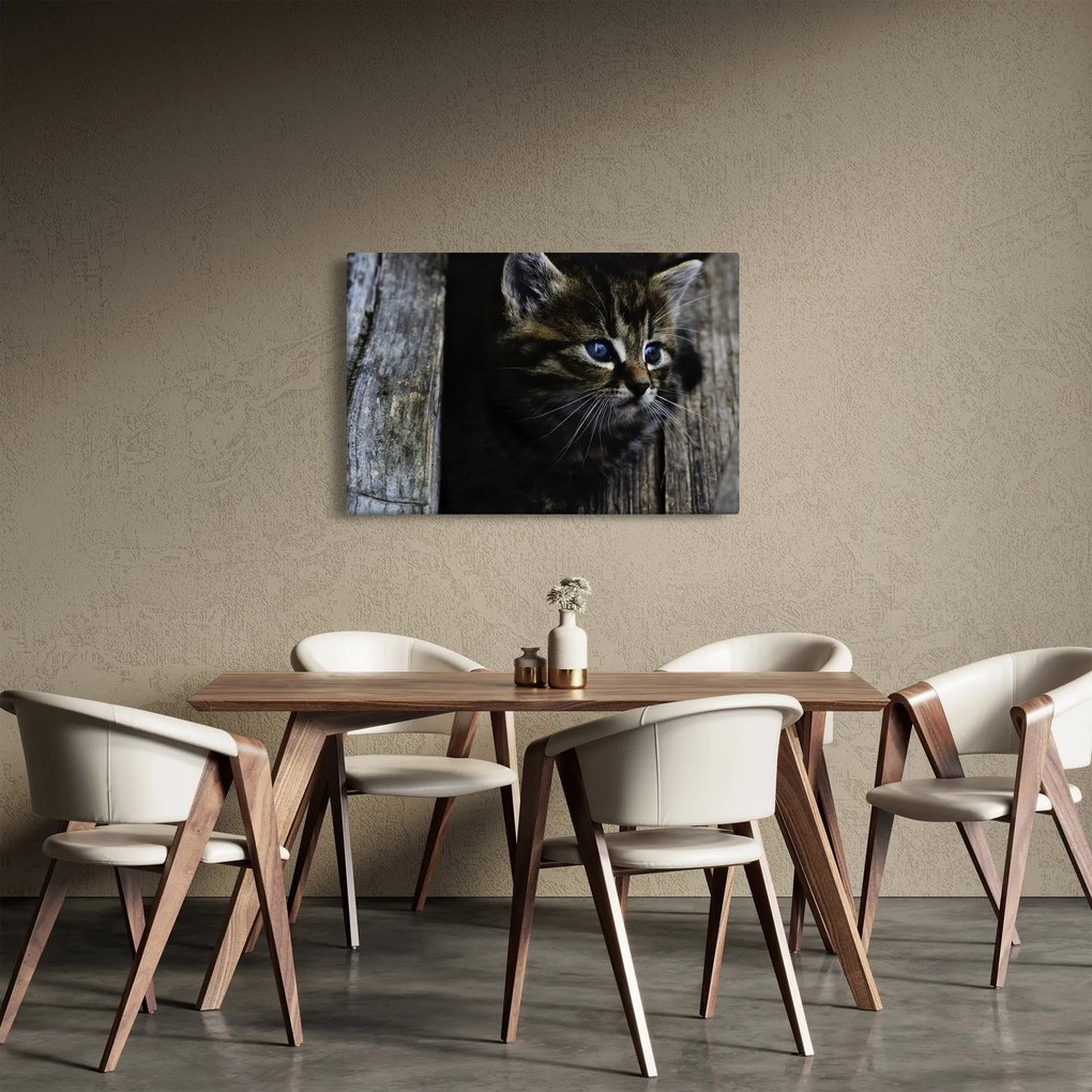 Tablou cu pisicuța (90x60 cm)