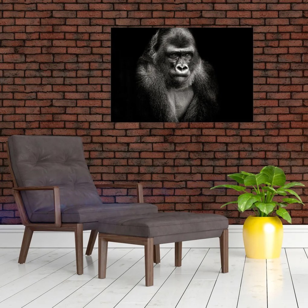 Tablou - Gorila (90x60 cm)
