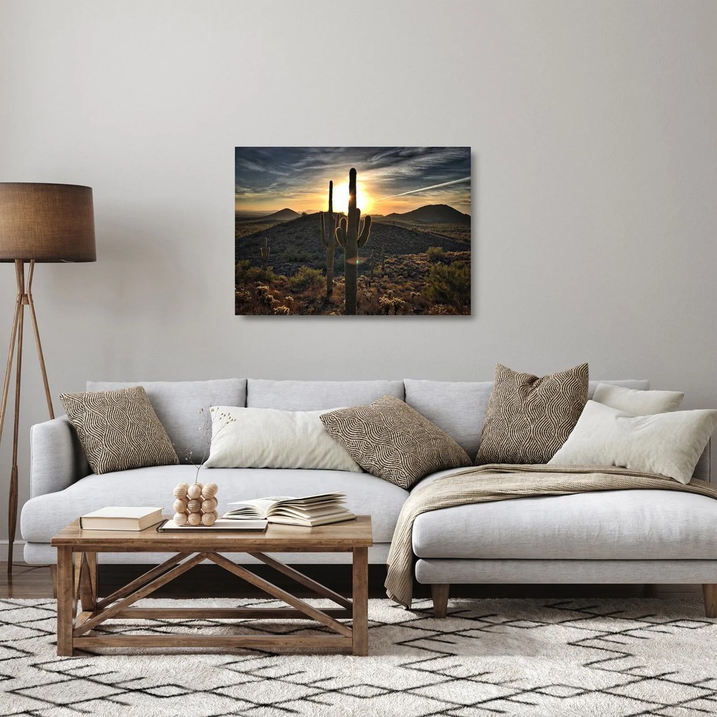 Tablou pe sticlă - cactușii la soare (70x50 cm)