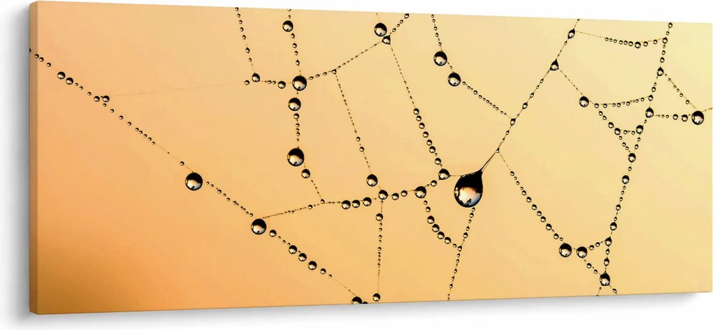 Tablou cu pânză de pâianjen cu rouă (120x50 cm)