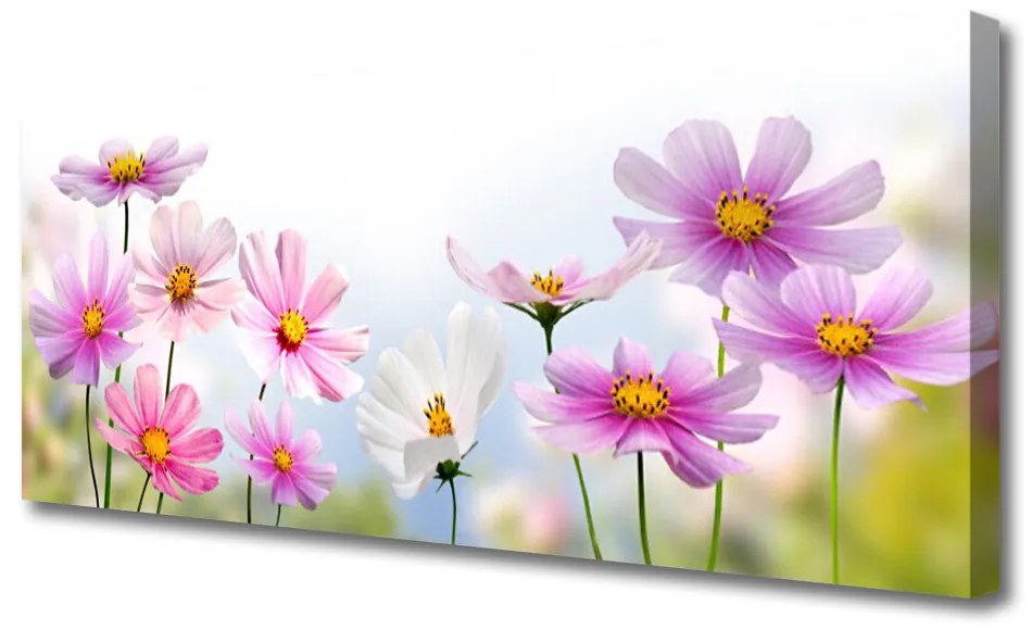 Tablou pe panza canvas Flori roz Floral