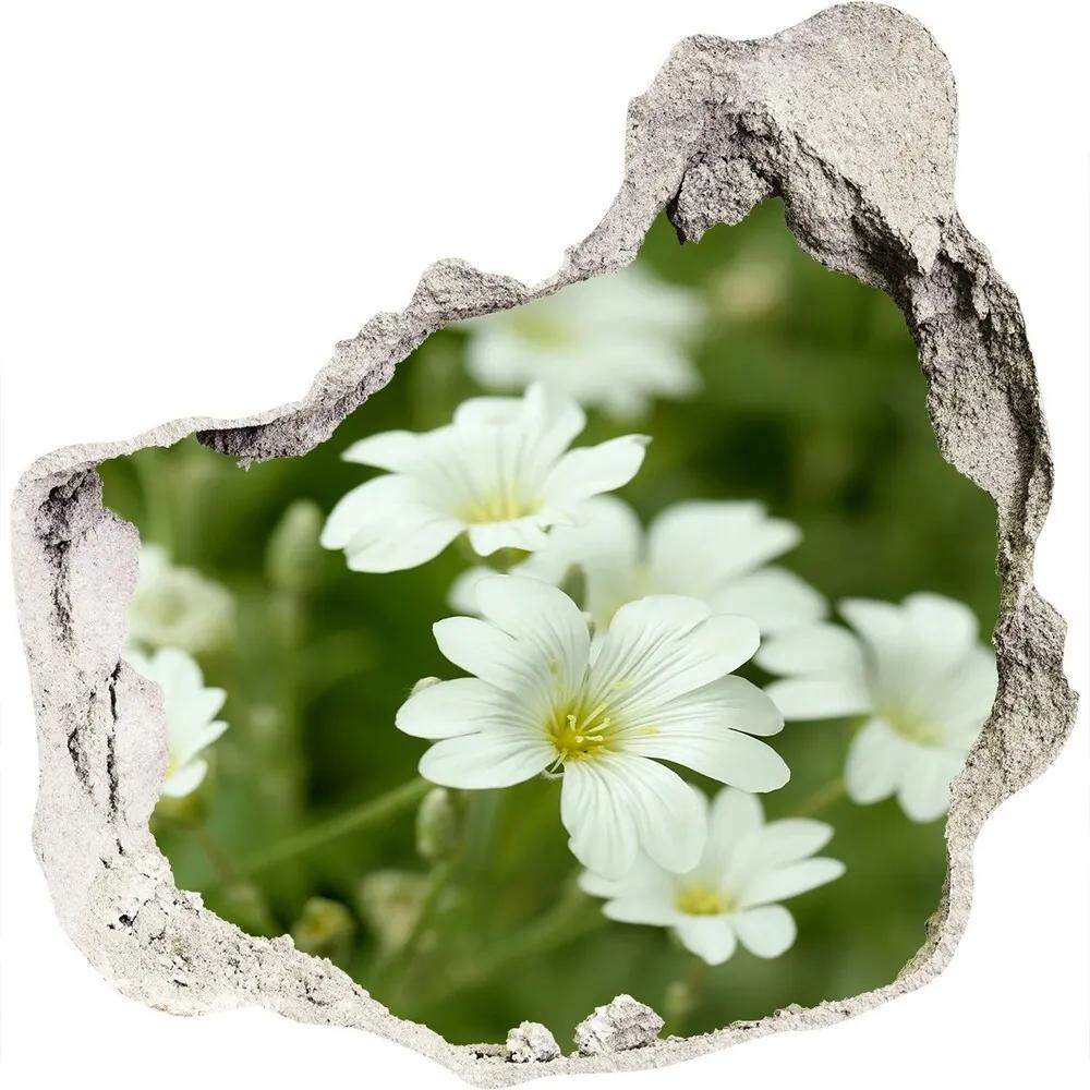 Autocolant de perete gaură 3D Flori de primăvară