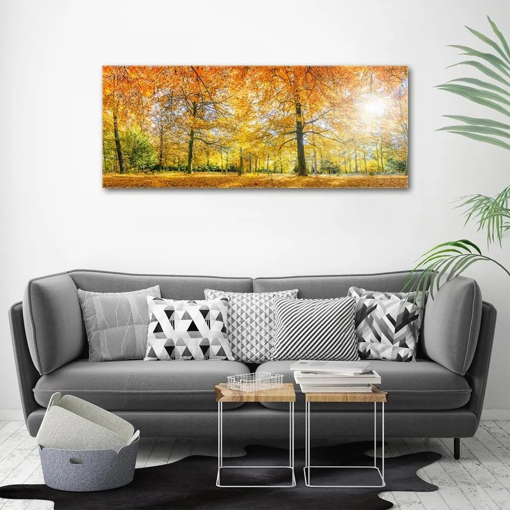 Imprimare tablou canvas Pădure în toamna