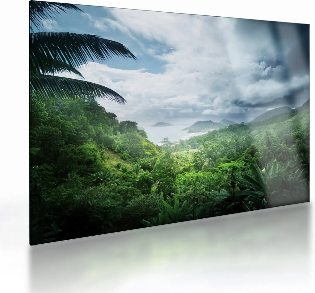Tablou pe sticlă -Jungla din Seychelles (70x50 cm)
